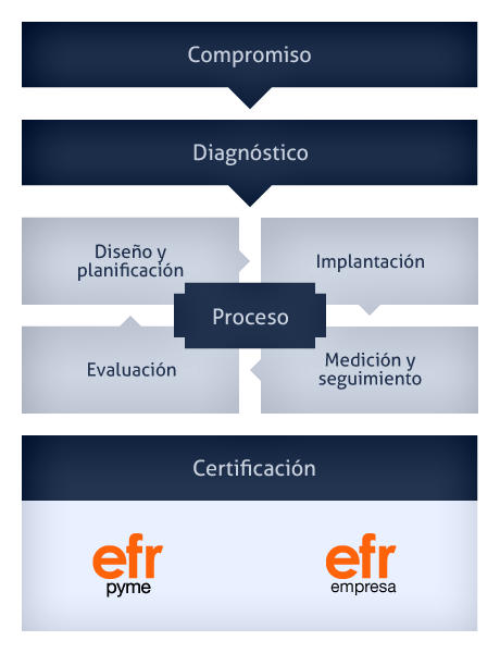 Proceso de aquisición de Certificado EFR